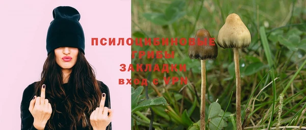 соль ск Алексеевка