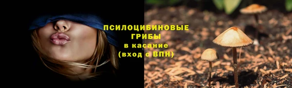 а пвп мука Абаза